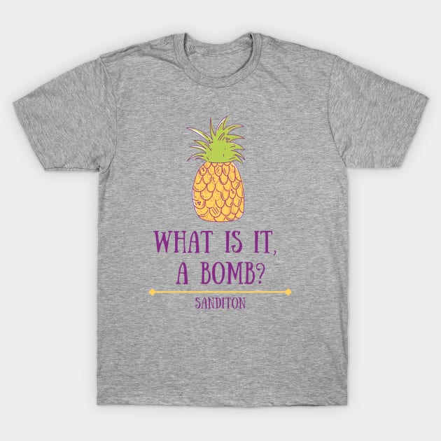 Sanditon Pineapple T-Shirt by Regency Romp